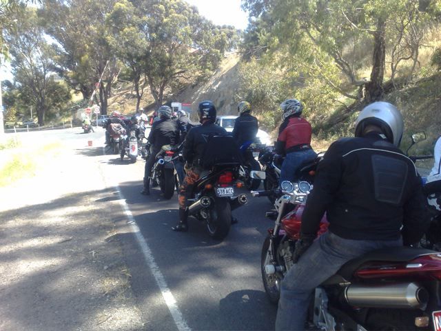 Photo courtesy of Nasef.