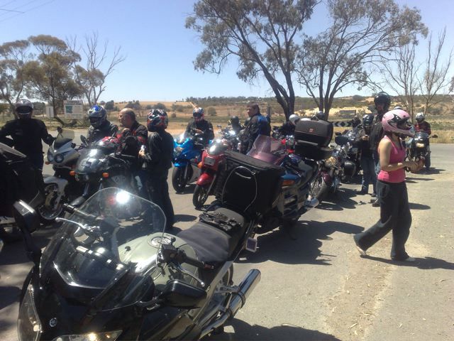 Photo courtesy of Nasef.