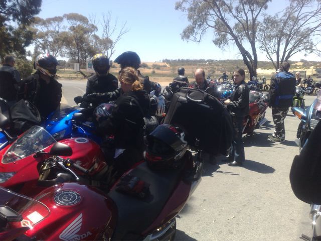 Photo courtesy of Nasef.