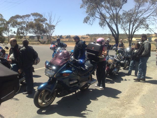 Photo courtesy of Nasef.