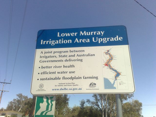 Photo courtesy of Nasef.