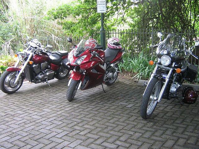 Photo courtesy of Julie.