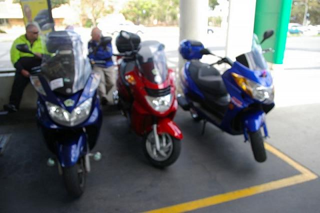 Photo courtesy of Rene