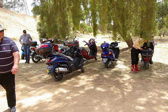 Photo courtesy of Rene