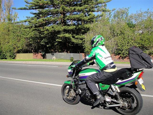 Photo courtesty of Shannon