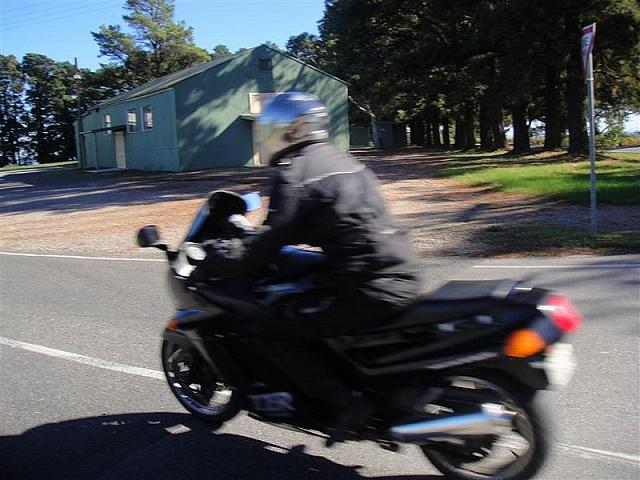 Photo courtesty of Shannon