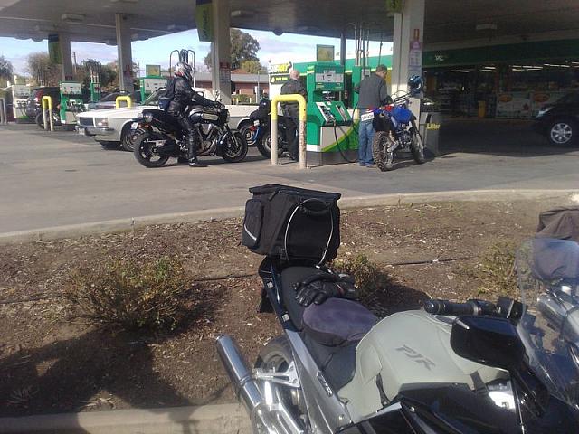 Photo courtesy of Nasef.