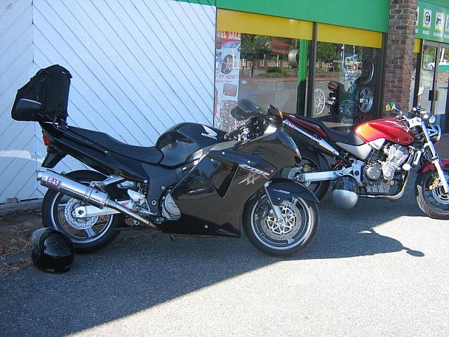 Photo courtesy of Nasef.