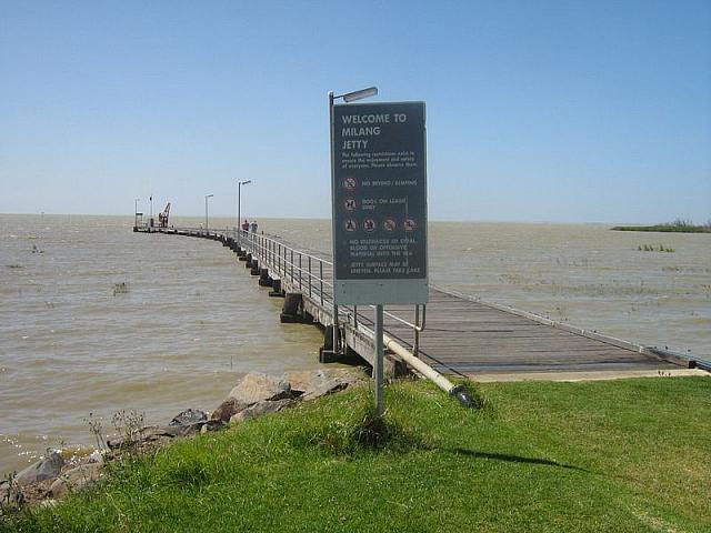 Photo courtesy of Nasef.