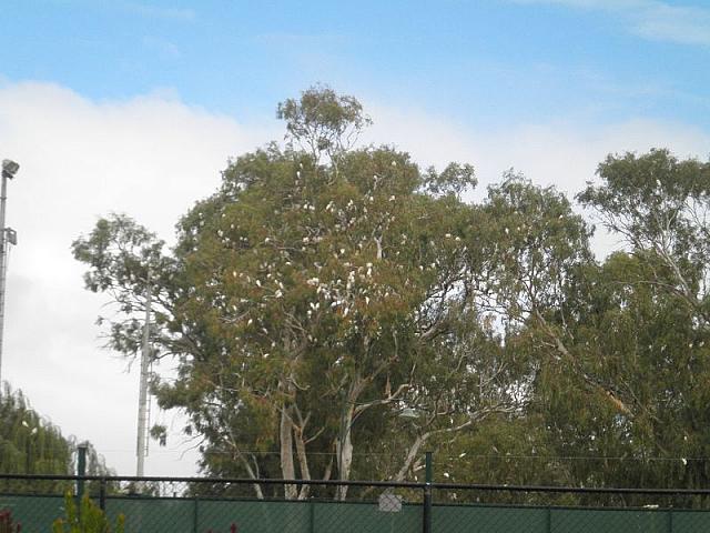 Photo courtesy of Kaye.