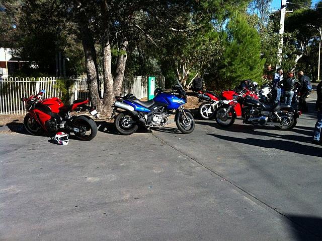 Photo courtesy of Ken.