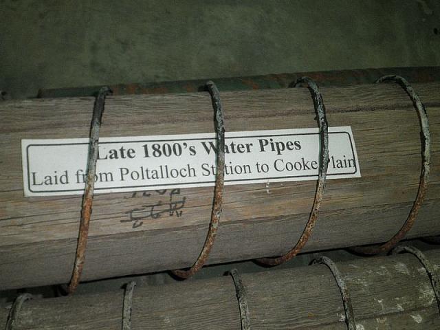 Photo courtesy of Kaye.