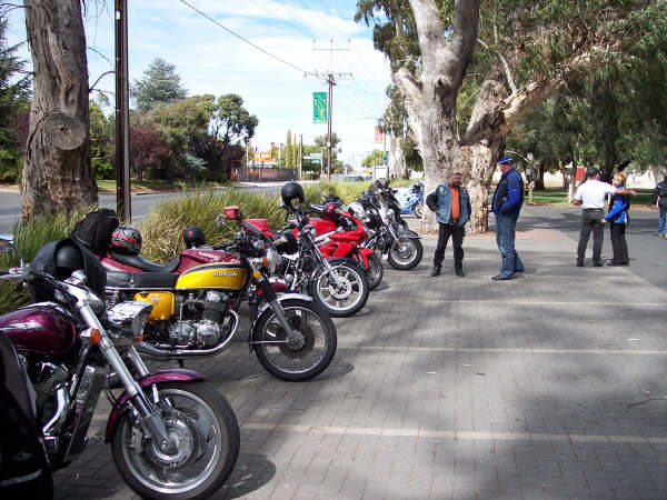 Photo courtesy of Kelvin