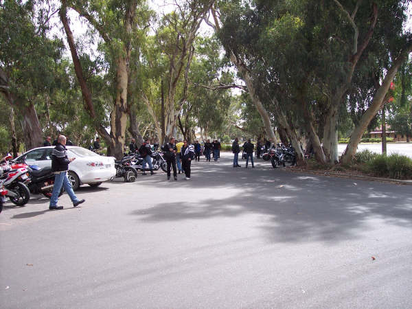 Photo courtesy of Kelvin