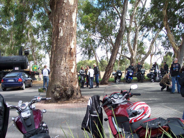 Photo courtesy of Kelvin