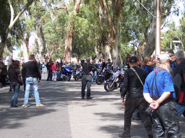 Photo courtesy of Kelvin