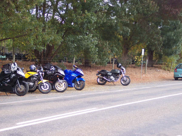 Photo courtesy of Kelvin