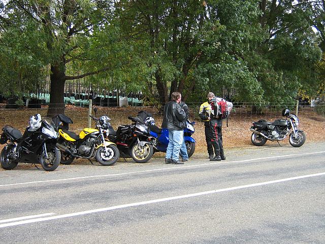 Photo courtesy of Kaye