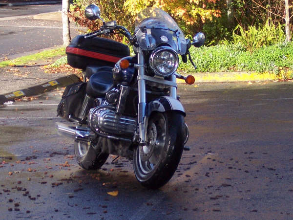 Photo courtesy of Kelvin