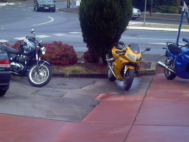 Photo courtesy of Dr Phil