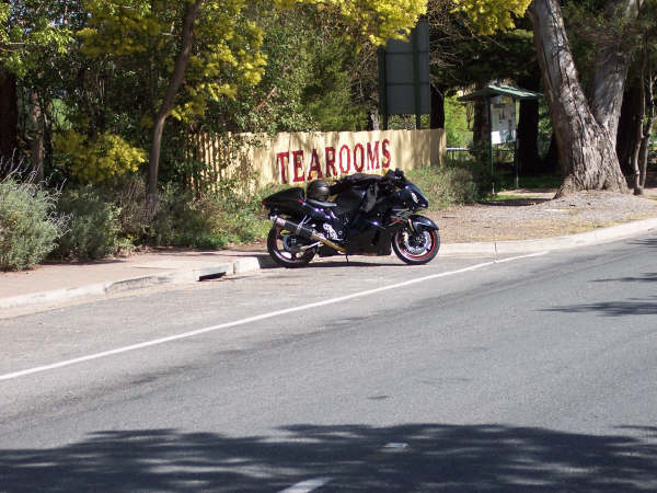 Photo courtesy of Kelvin