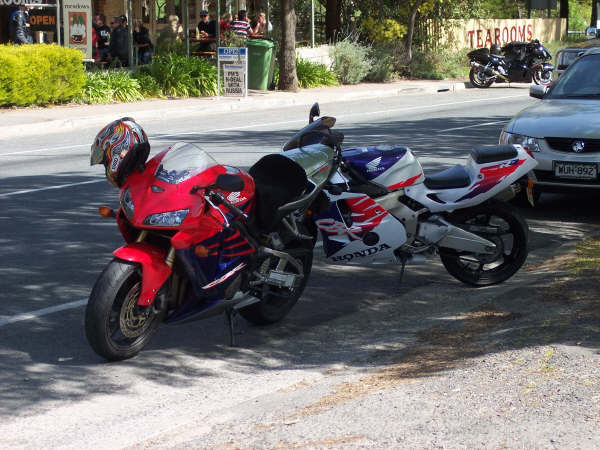 Photo courtesy of Kelvin