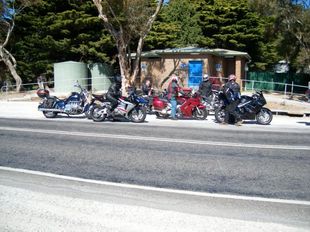 Photo courtesy of Steve