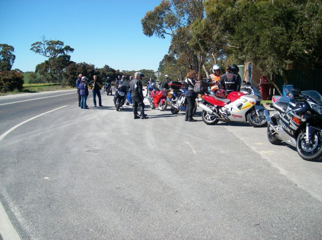 Photo courtesy of Steve