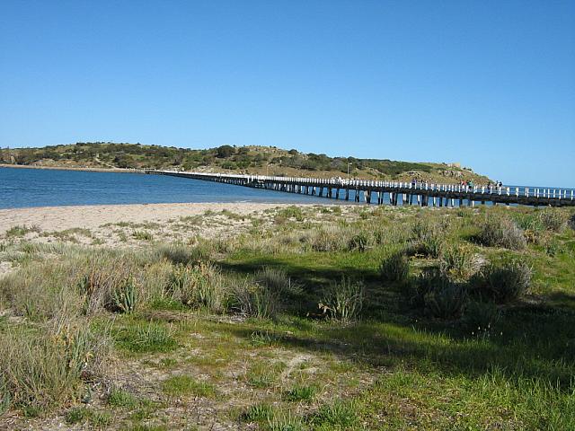 Photo courtesy of Vince