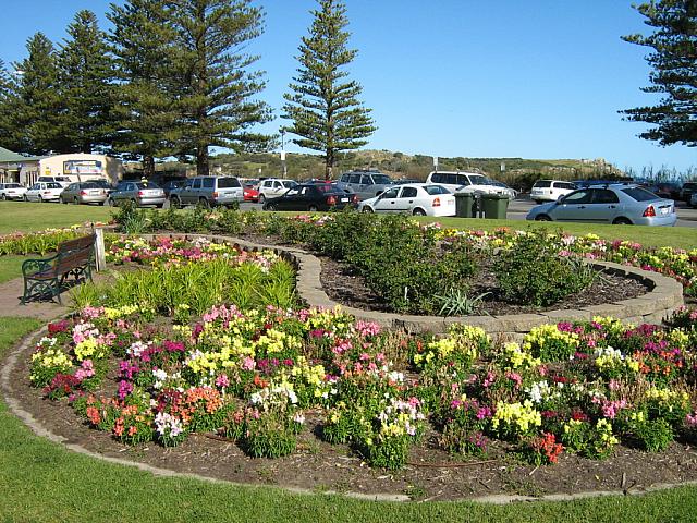 Photo courtesy of Vince