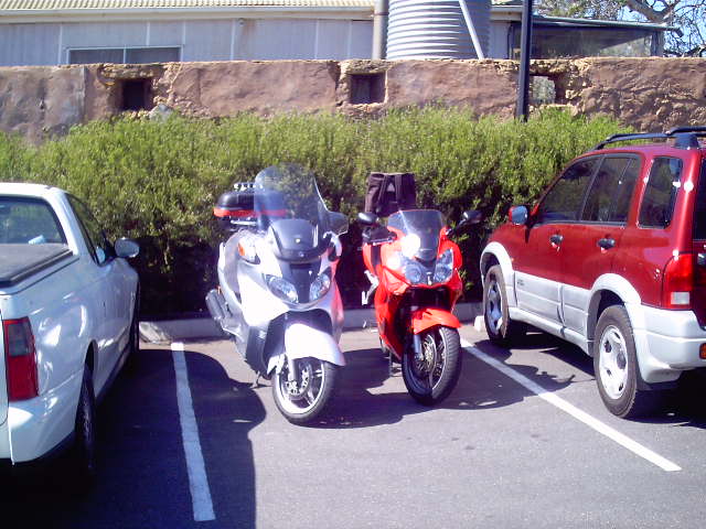 Photo courtesy of Dr Phil