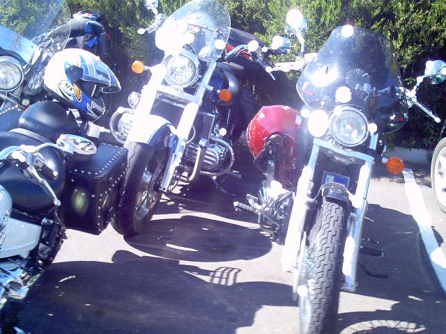 Photo courtesy of Dr Phil