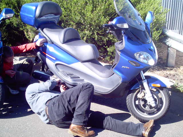 Photo courtesy of Dr Phil