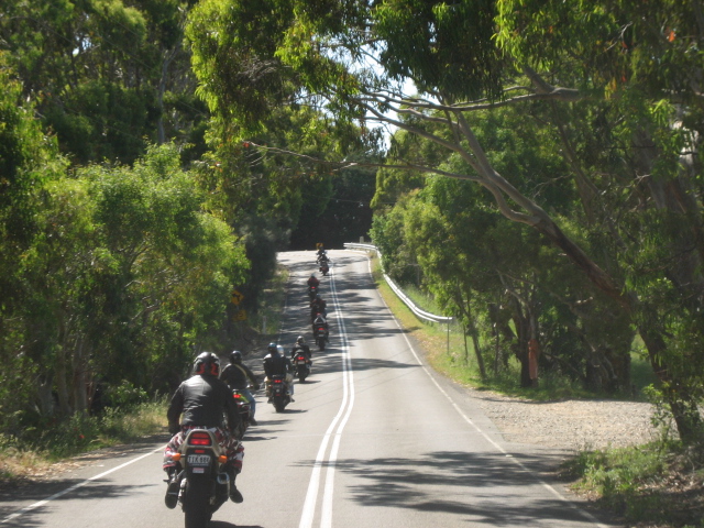 Photo courtesy of Hsin Ju.