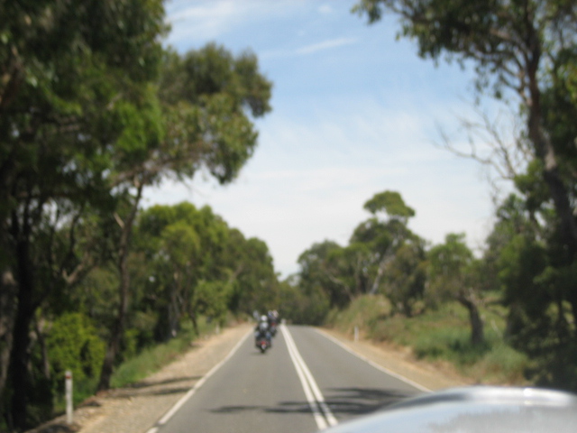 Photo courtesy of Hsin Ju.