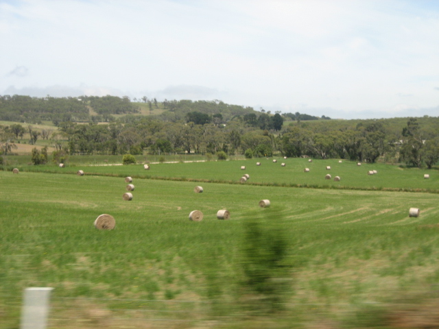 Photo courtesy of Hsin Ju.