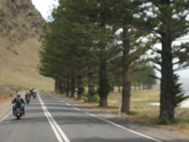 Photo courtesy of Hsin Ju.