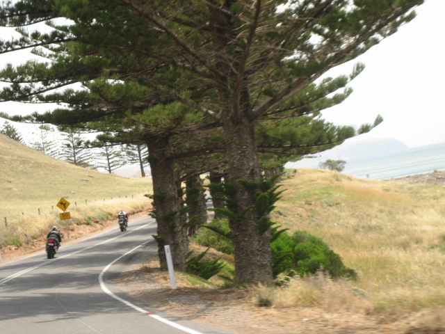 Photo courtesy of Hsin Ju.