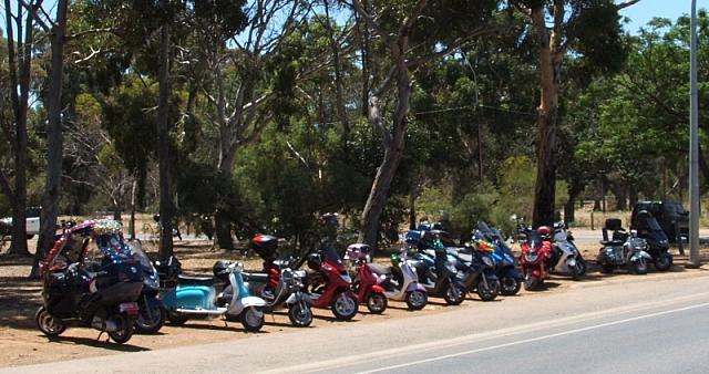 Photo courtesy of Dr Phil