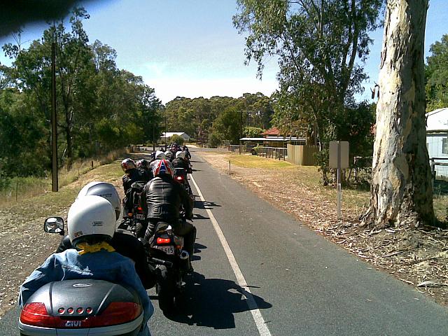 Photo Courtesy of Tony