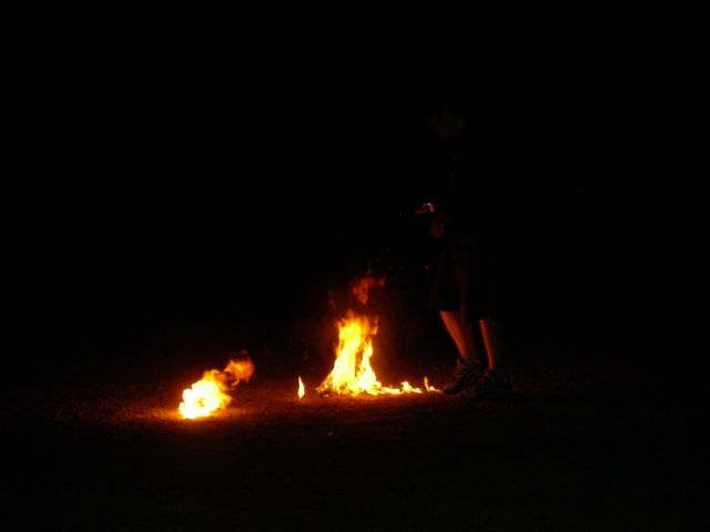 Photo coutesy of Steve