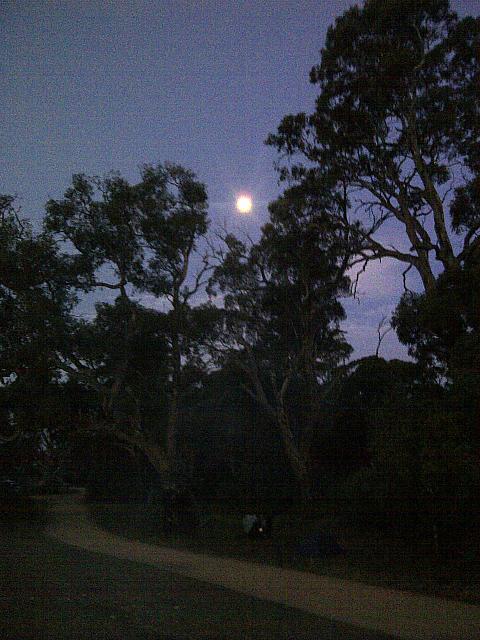 Swaggie - Compliments Ebi