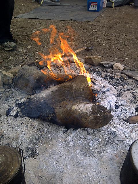 Swaggie - Compliments Ebi