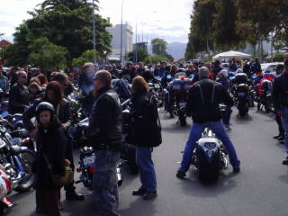 Photo courtesy of Sonya