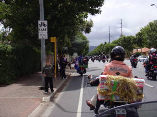 Photo courtesy of Sonya