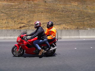 Photo courtesy of Sonya