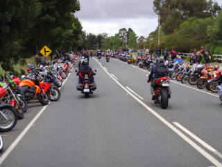 Photo courtesy of Sonya