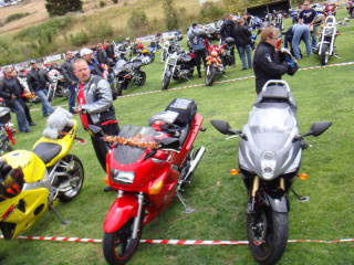 Photo courtesy of Sonya