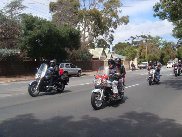 Photo courtesy of Sveta