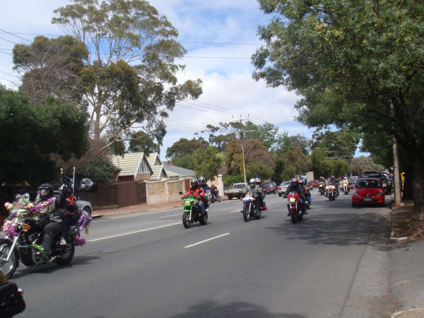 Photo courtesy of Sveta